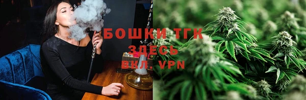 spice Лагань