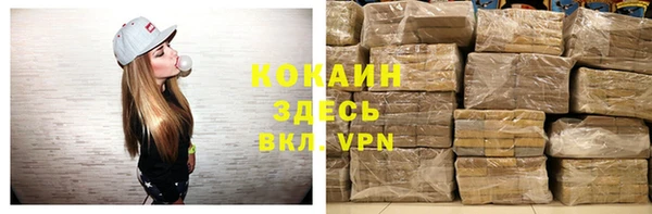 spice Лагань