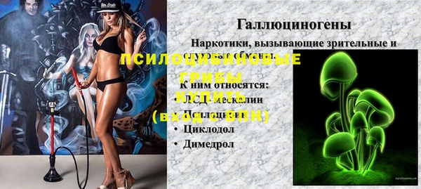 мескалин Лабытнанги