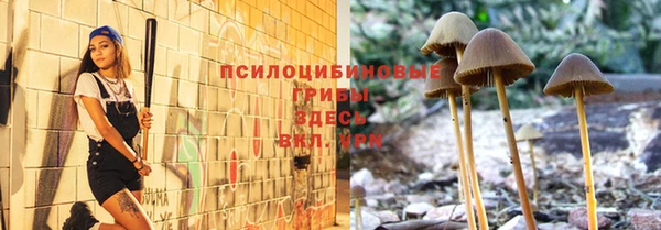ешки Ладушкин