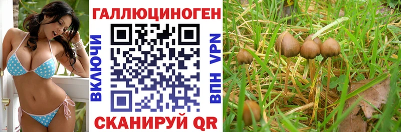 Галлюциногенные грибы Cubensis  Купить  Ардон 